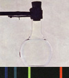 element_001.jpg