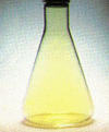 element_017.jpg