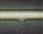 element_036.jpg