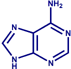 adenine