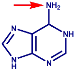 adenine