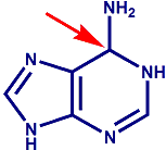 adenine