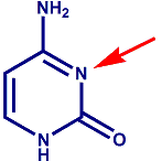 cytosine