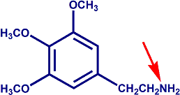 mescaline