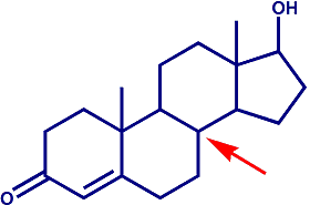 testosterone